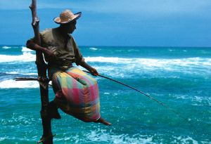 Pescador en Galle.jpg
